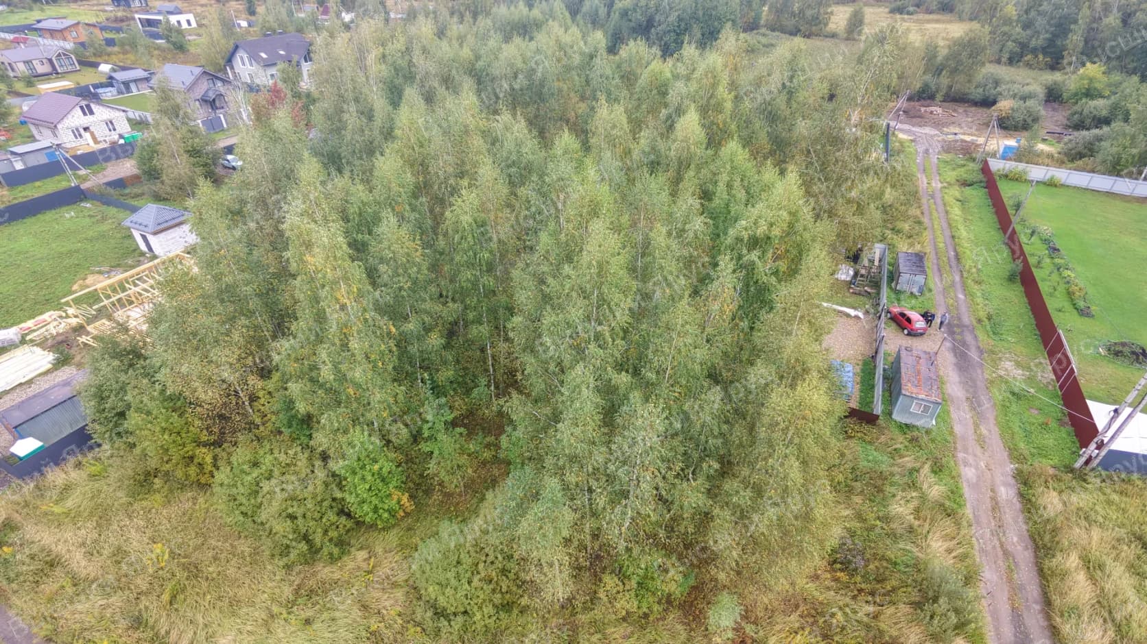 Начало: общий вид участка с густой древесной порослью